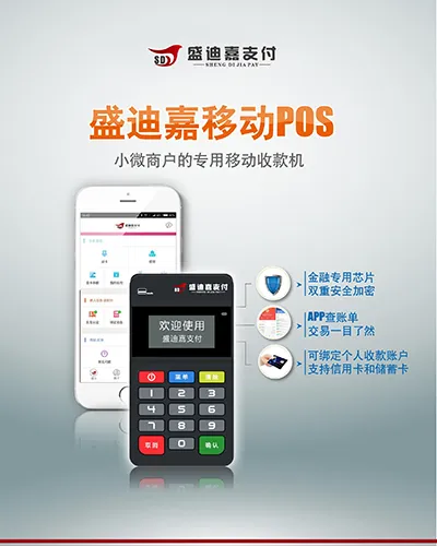 盛迪嘉支付2.png